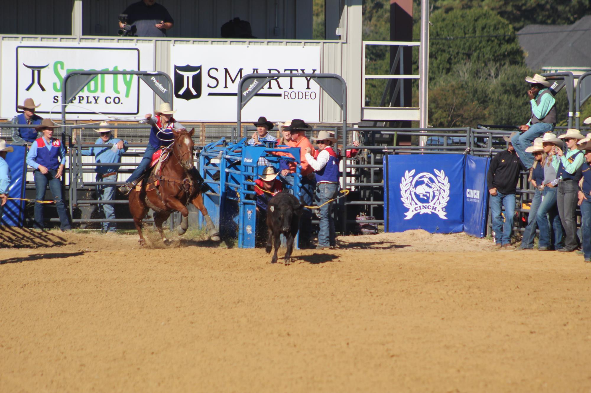 NTCC Rodeo