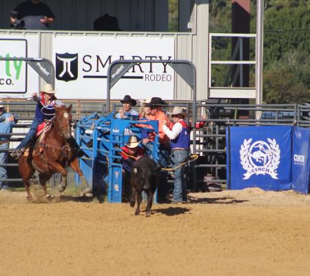 Cowboys on Horses in Rodeo Arena